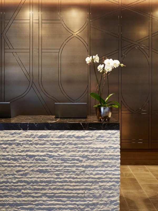 Loews Chicago Hotel image 8